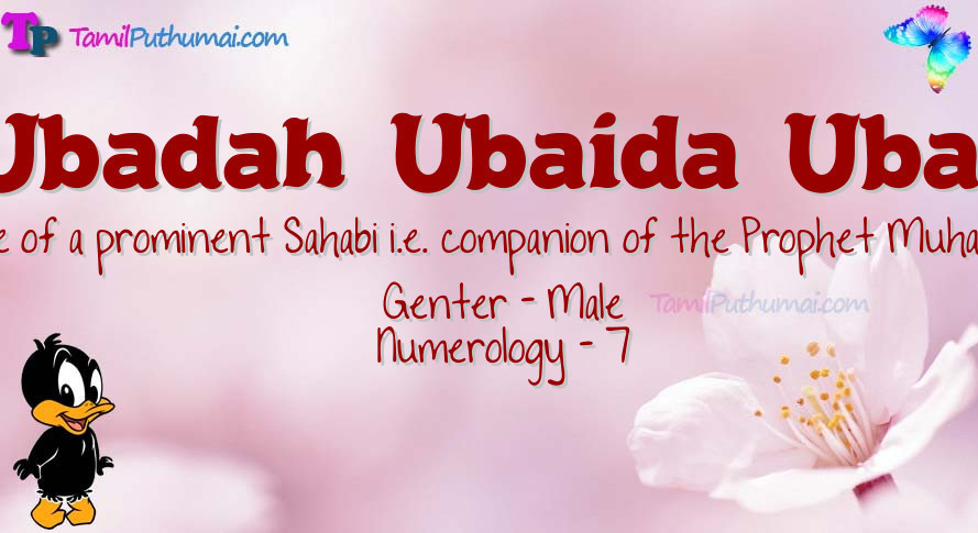 Ubadah  Ubaida  Ubay-babyname-meaning